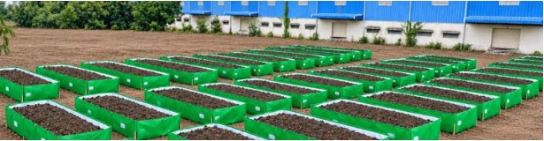 Navjyoti vermicompost production beds